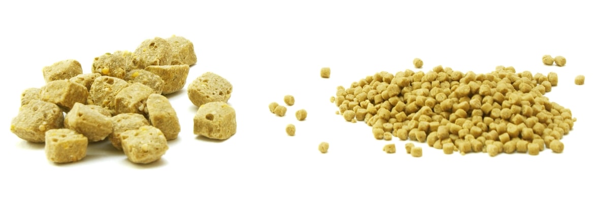 Placeholder Select Dynamic field