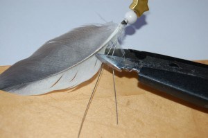 Basteln: Anhänger aus Papageien- und Sittichfedern zum Selbermachen Basteln: Anhänger aus Papageien- und Sittichfedern zum Selbermachen