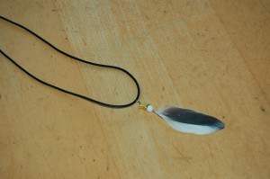 Basteln: Anhänger aus Papageien- und Sittichfedern zum Selbermachen Basteln: Anhänger aus Papageien- und Sittichfedern zum Selbermachen