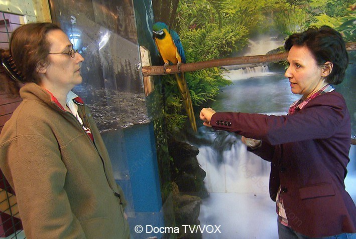 Aggressive Aras - Drei Engel für Tiere - Ann Castro Aggressive Aras - Drei Engel für Tiere - Ann Castro