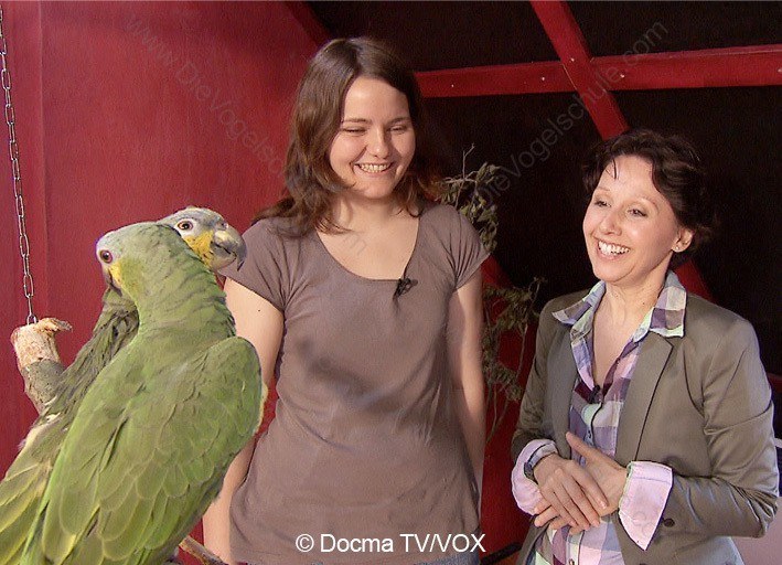 Schreiende Amazonen | 3 Engel für Tiere | Menschen & Papageien Schreiende Amazonen | 3 Engel für Tiere | Menschen & Papageien