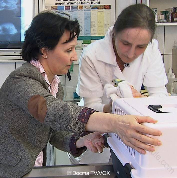 Schreiende Amazonen | 3 Engel für Tiere | Beim vogelkundigen Tierarzt Schreiende Amazonen | 3 Engel für Tiere | Beim vogelkundigen Tierarzt