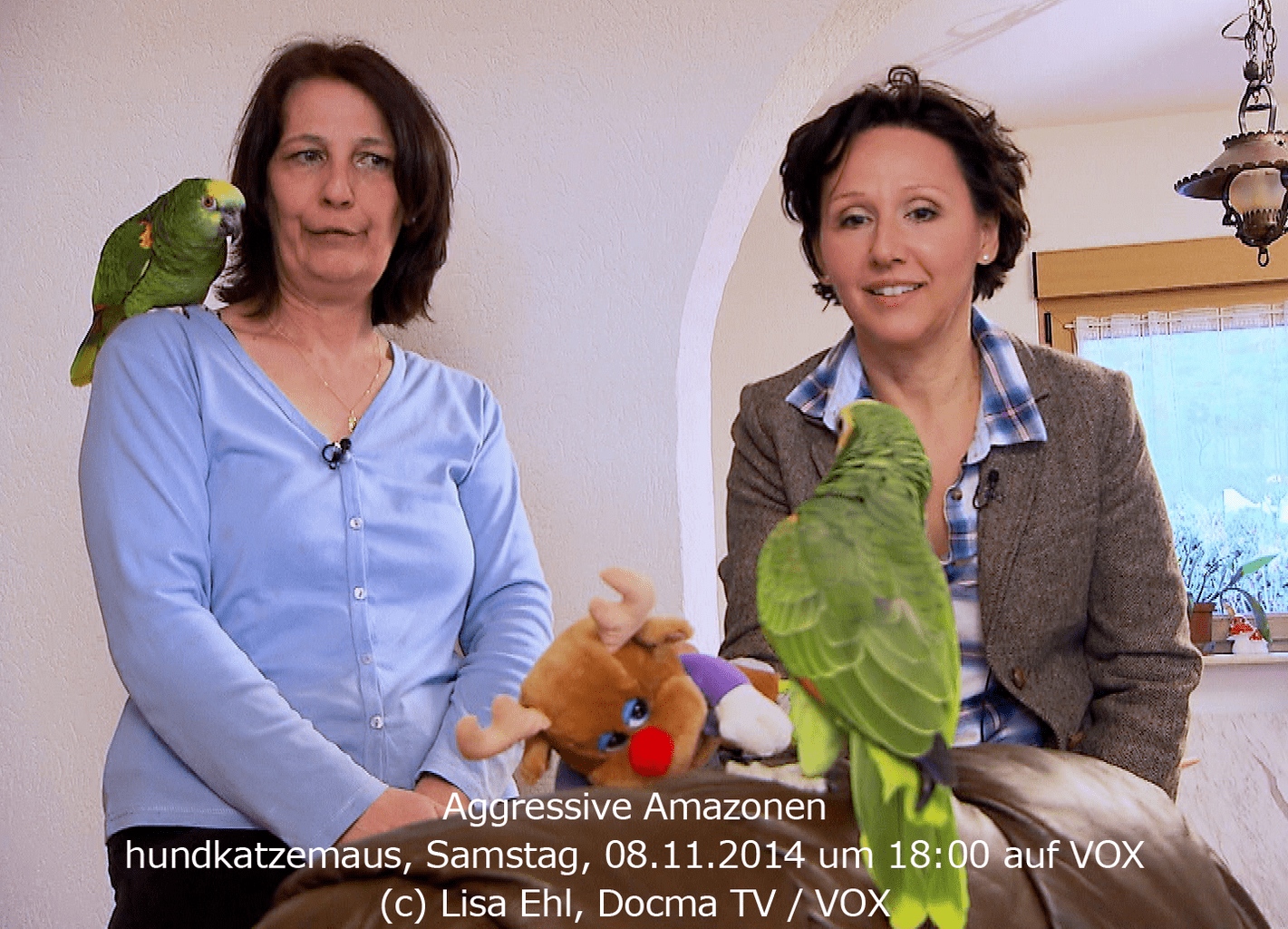 Aggressive Amazonen bei hundkatzemaus Aggressive Amazonen bei hundkatzemaus