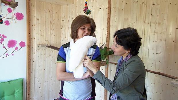 Kakadu schreit - Drei Engel für Tiere Kakadu schreit - Drei Engel für Tiere