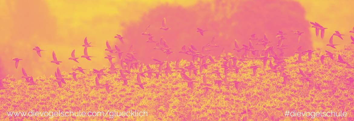 Wiesenkräuter - Frischkost für Papageien und Sittiche