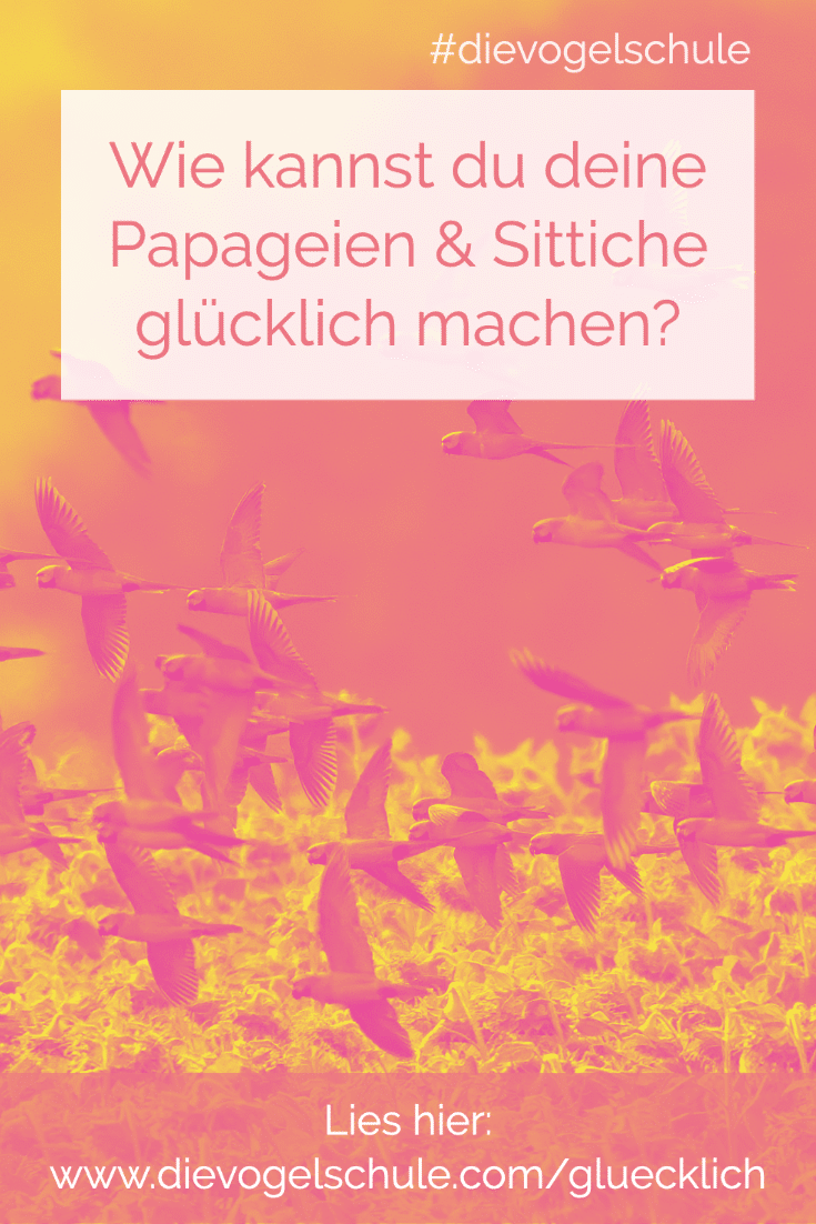 Glücklich Papageien fliegen