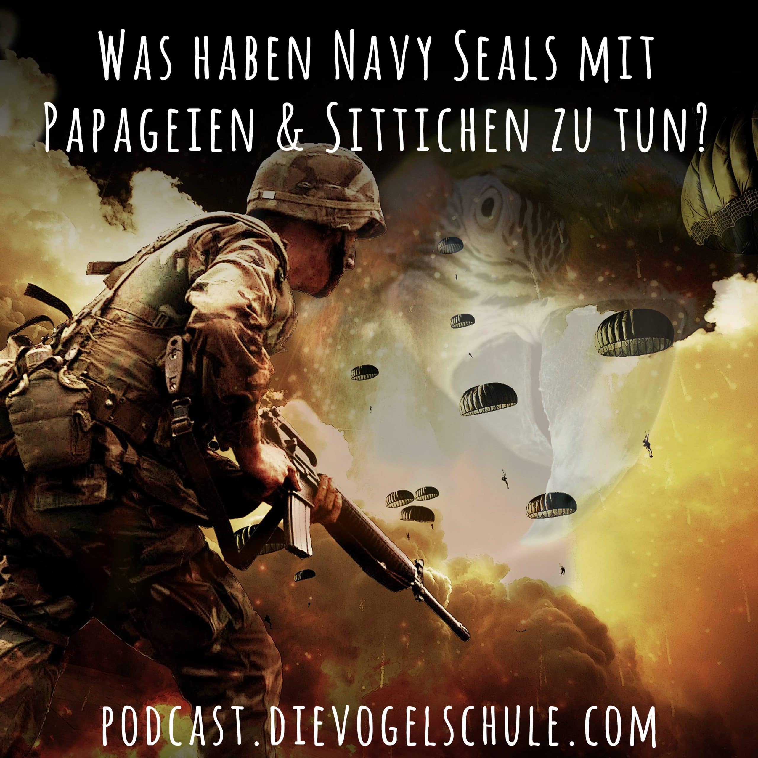 Was kannst du von Navy Seals für deine Papageien und Sittiche lernen? Was kannst du von Navy Seals für deine Papageien und Sittiche lernen?