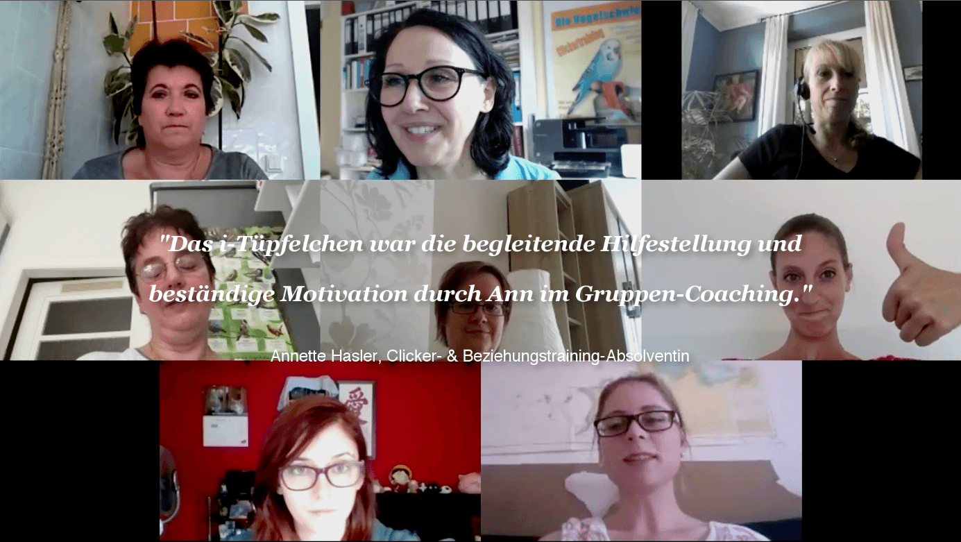 Sittich- & Papageientraining Coaching Video