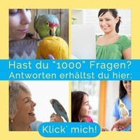 Fragen über Papageien & Sittiche - Divis