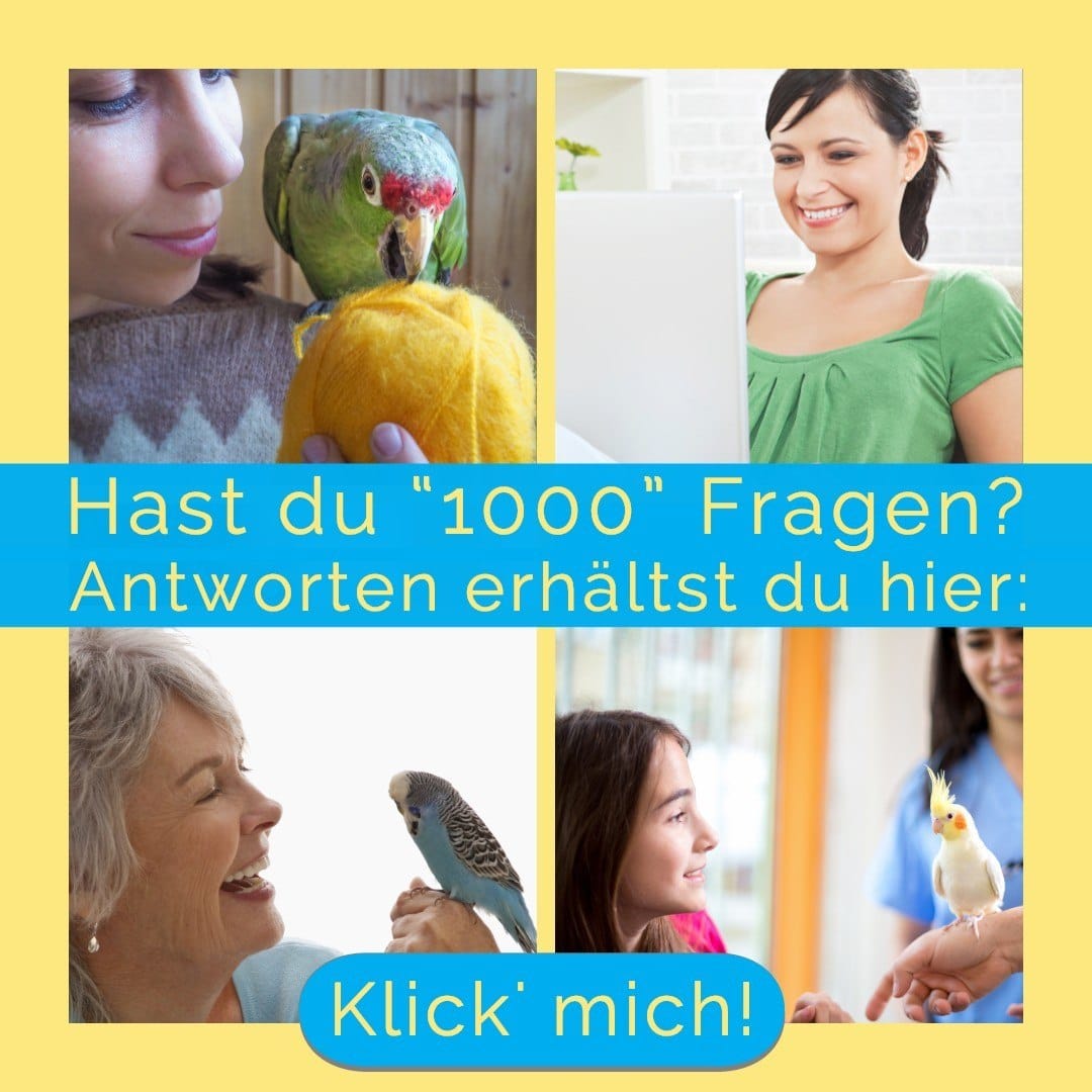Fragen über Papageien & Sittiche - Divis