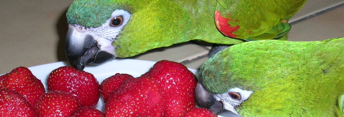 Select Dynamic field