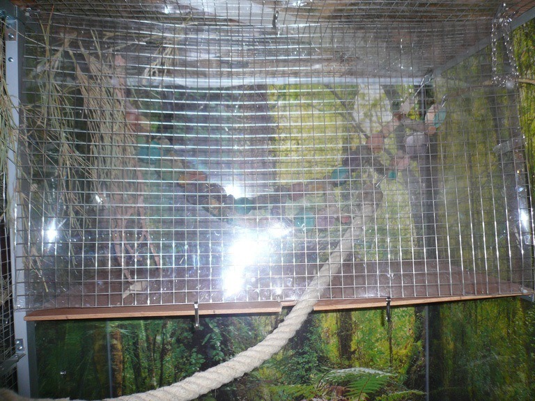 Inhalierkäfig für Papageien Bild 15