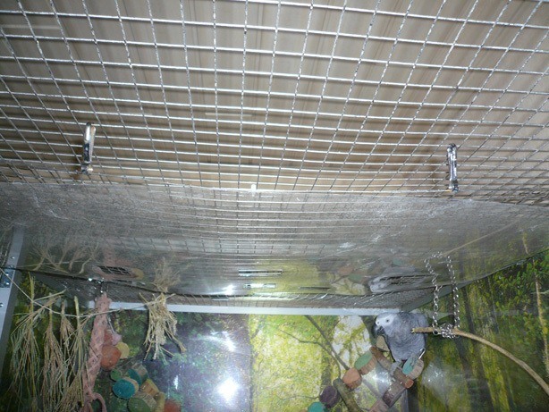 Inhalierkäfig für Papageien Bild 16