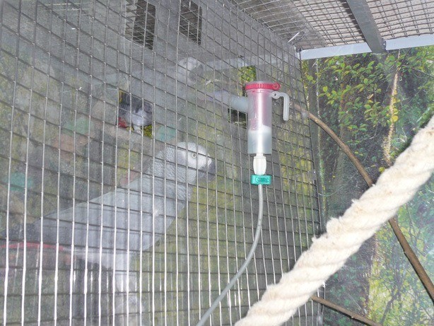 Inhalierkäfig für Papageien Bild 18