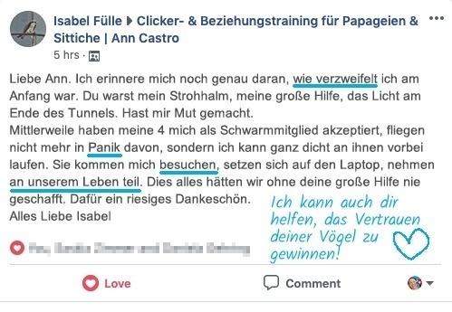 Rosaellasittiche trainieren Erfolgsgeschichten