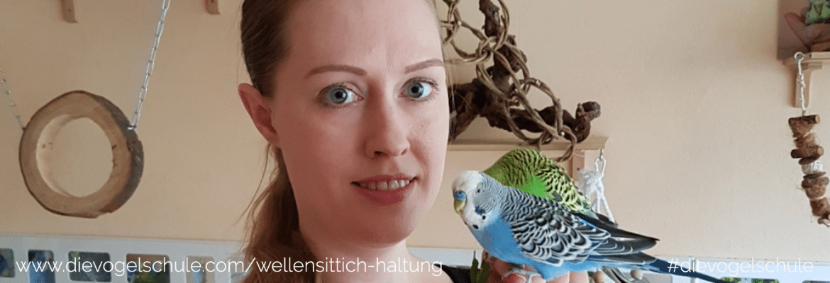 Wiesenkräuter - Frischkost für Papageien und Sittiche Wiesenkräuter - Frischkost für Papageien und Sittiche