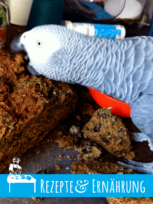 Rezepte für Papageien