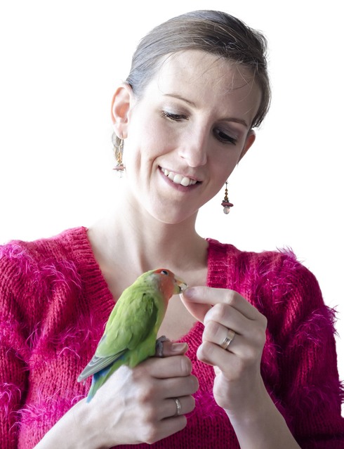 Agapornide von Angst zu Vertrauen Agapornide von Angst zu Vertrauen