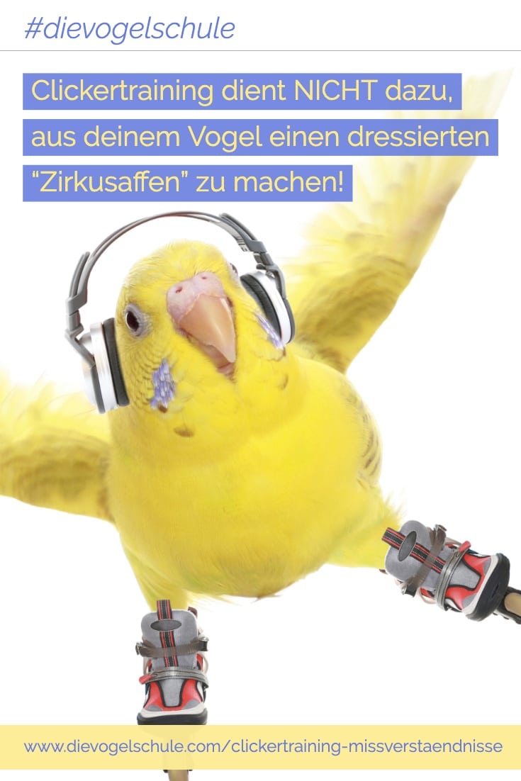 Clickertraining Missverständnisse P Quote 1