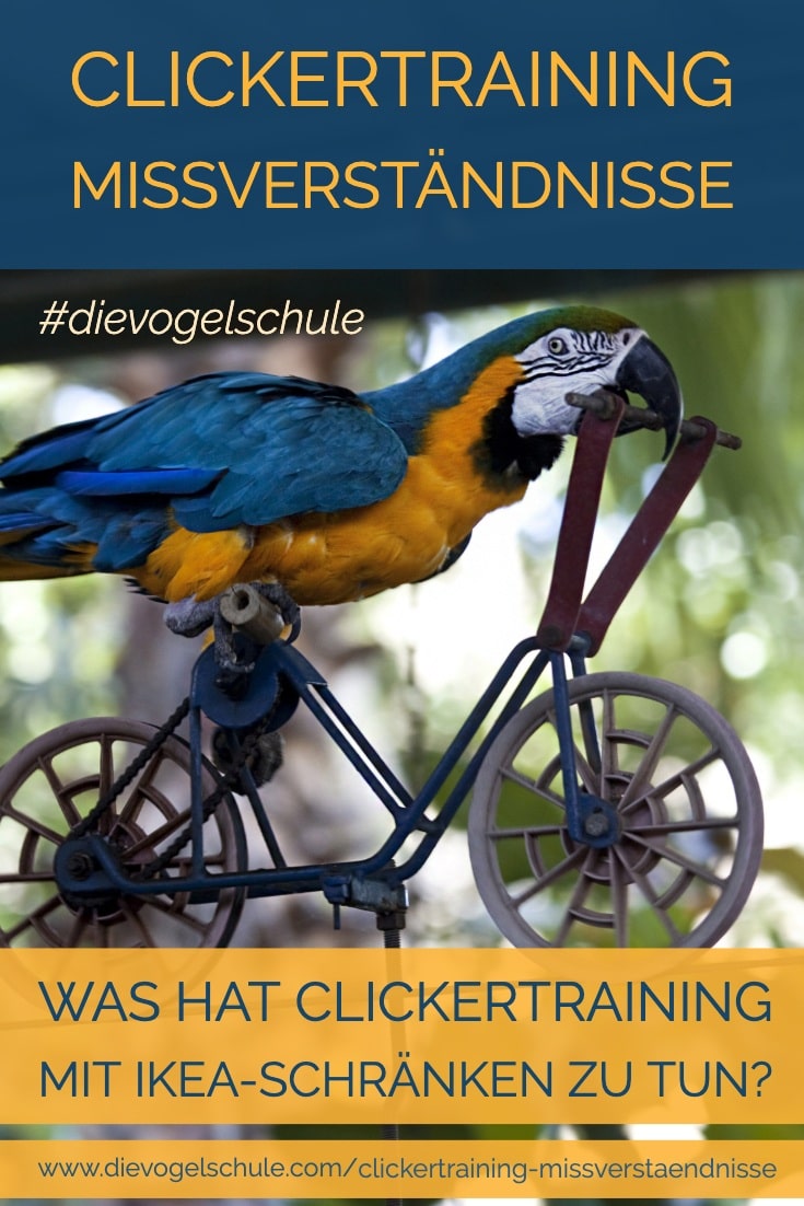 Clickertraining Missverständnisse P Gelbbrustara Fahrrad