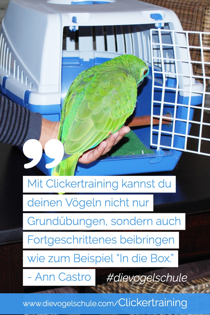 Clickertraining Amazone 2 Clickertraining Amazone 2