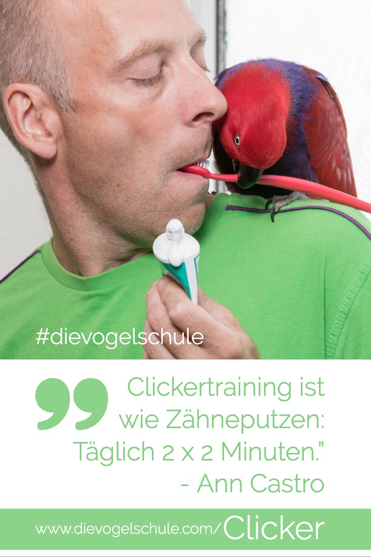 Clickertraining für Papageien & Sittiche Edelpapagei