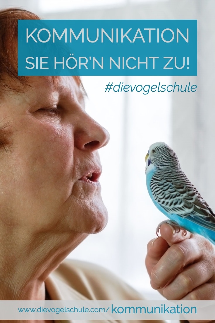 sprechen Wellensittich sprechen Wellensittich