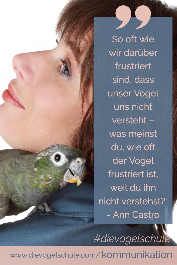 Sprechen Papageien & Sittiche 2 Sprechen Papageien & Sittiche