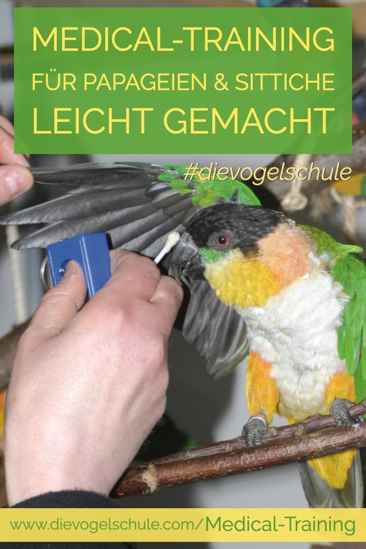 Medical-Training für Papageien & Sittiche P-1 Medical-Training für Papageien & Sittiche P-1
