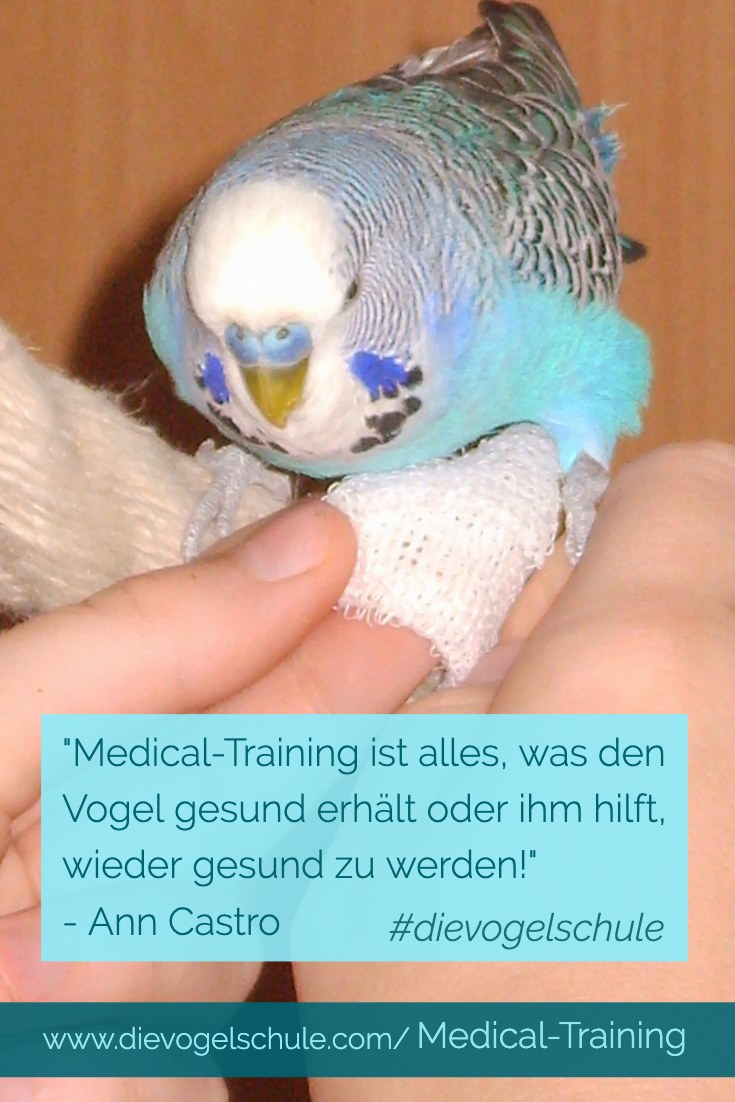 Medical-Training für Papageien & Sittiche P-2 Medical-Training für Papageien & Sittiche P-2
