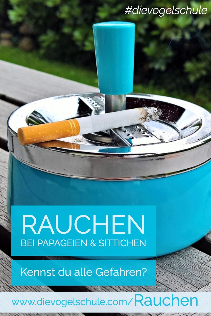 Rauchen Papagei & Sittich P-1 Rauchen Papagei & Sittich P-1