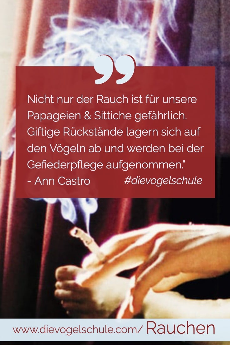 Rauchen Papagei & Sittich P-2 Rauchen Papagei & Sittich P-2