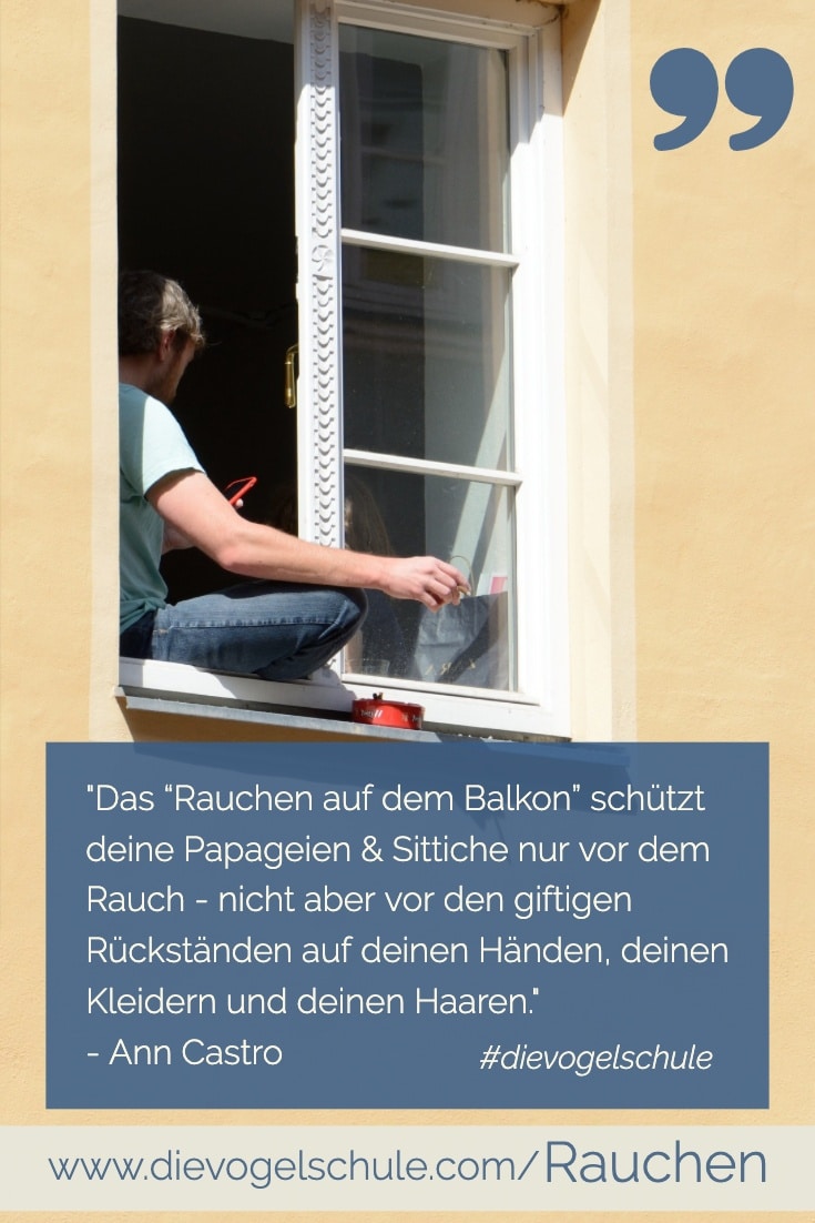 Rauchen Papagei & Sittich P-3 Rauchen Papagei & Sittich P-3