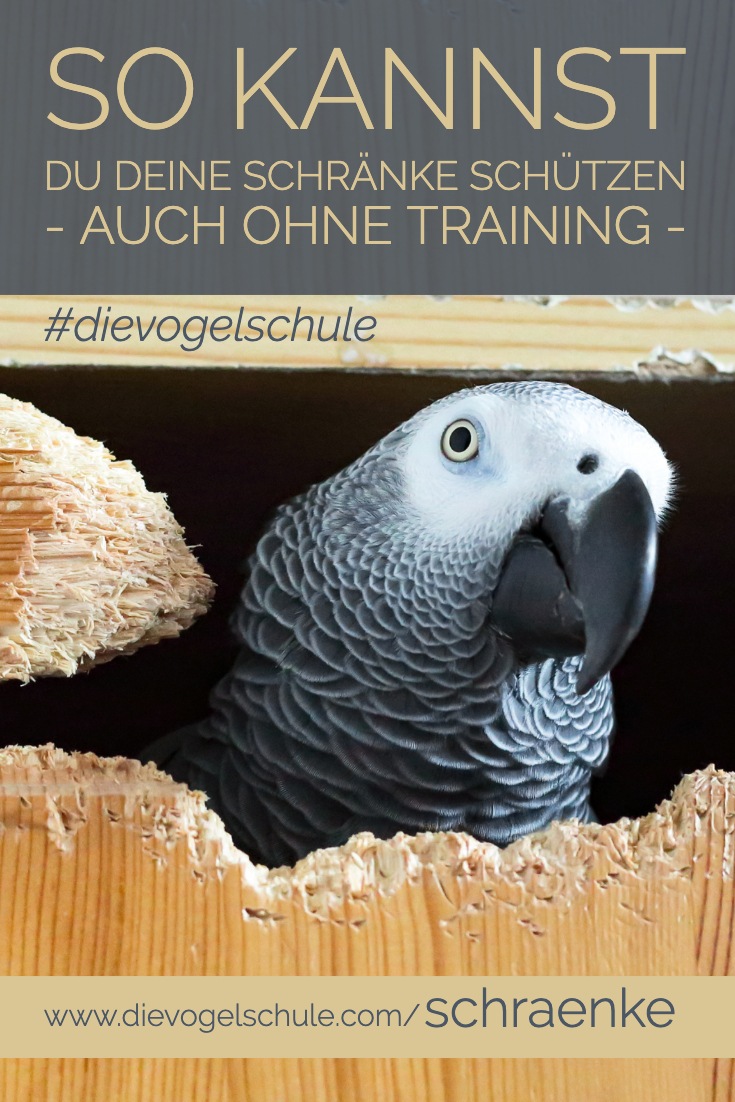 Schränke schützen P-1