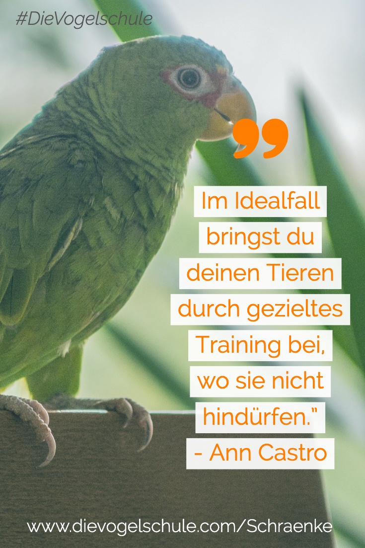Schränke schützen Quote 1 P