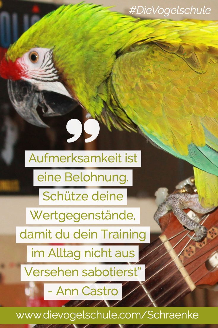 Schränke schützen Quote 2 P