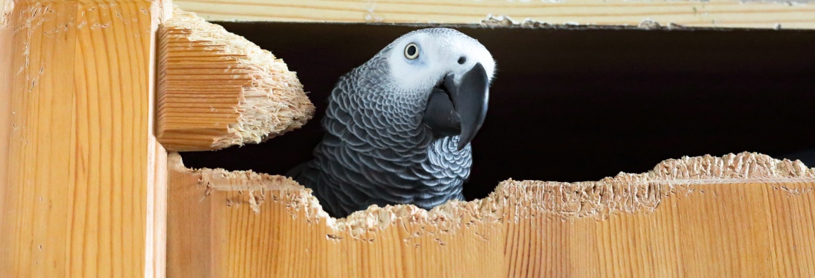 Select Dynamic field