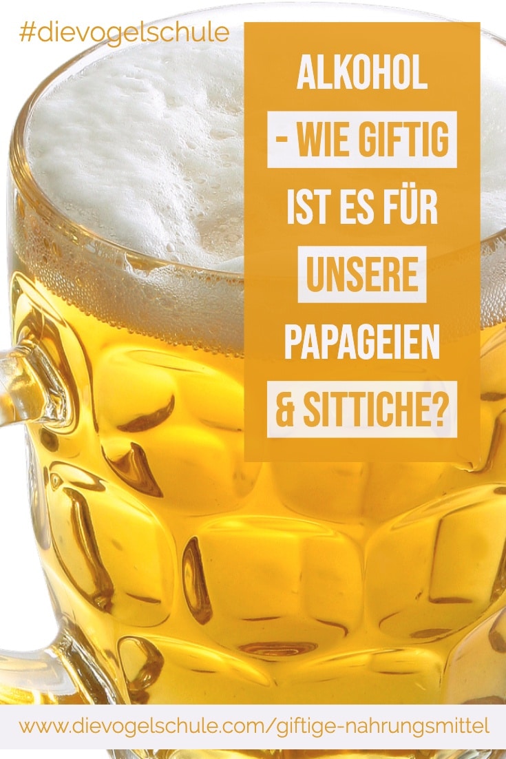 Giftige Nahrungsmittel für Papageien P-3