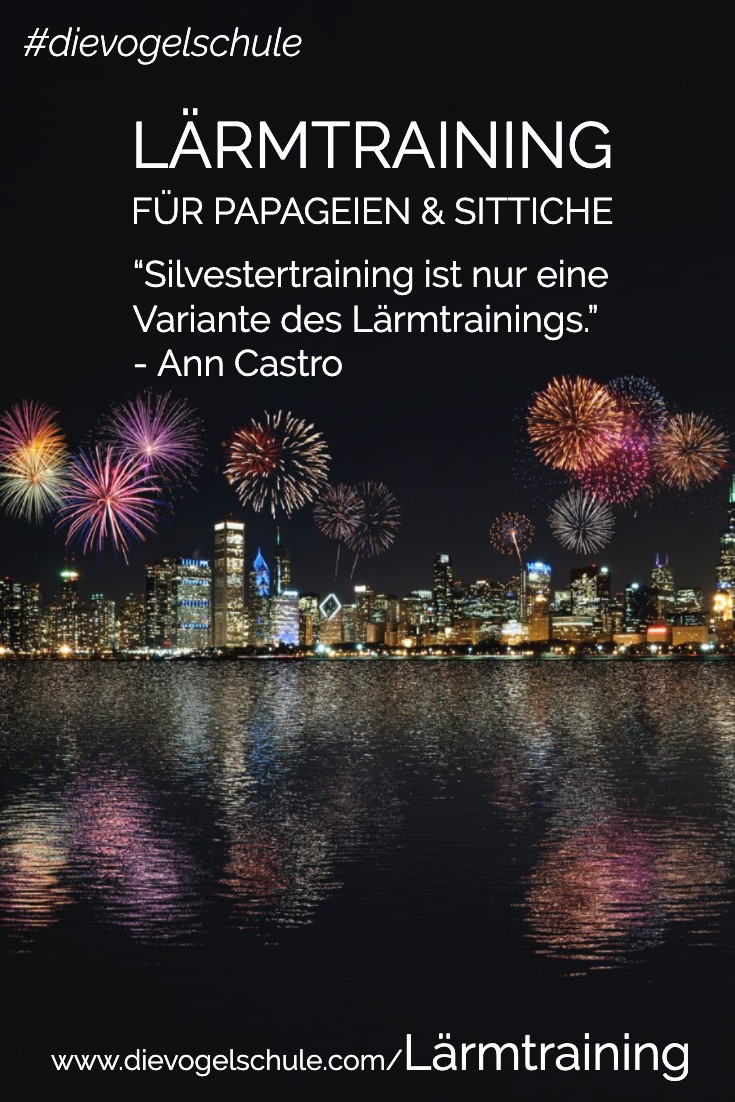 Lärmtraining für Papageien & Sittiche P-3