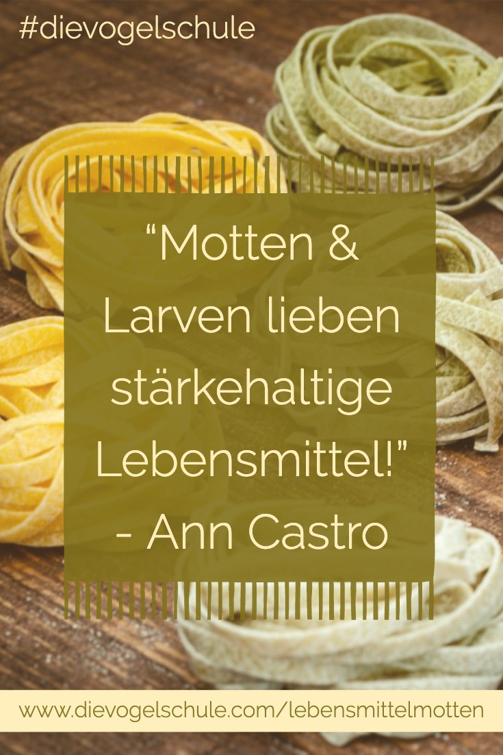 Lebensmittelmotten Pasta