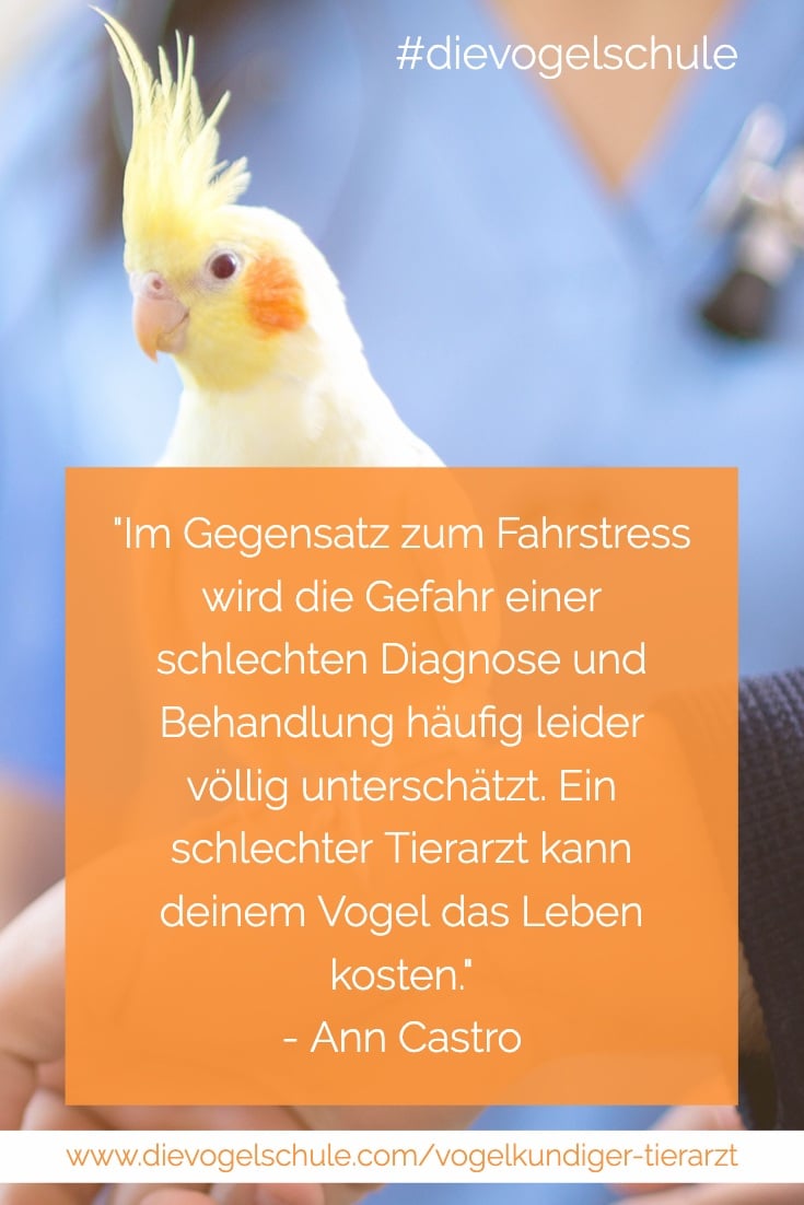 Nymphensittich & vogelkundiger Tierarzt Papageien & Sittiche