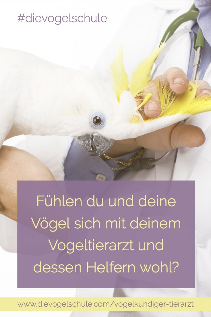 Kakadu & vogelkundiger Tierarzt Papageien & Sittiche