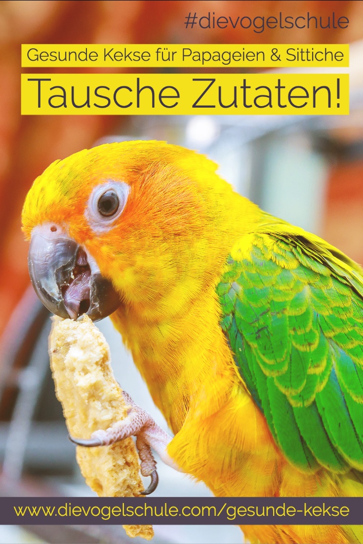 Gesunde Kekse Papageien & Sittichen P2 Gesunde Kekse Papageien & Sittichen Sonnensittich