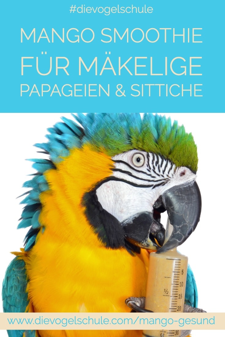 Mango gesund Papageien & Sittiche P3 Mango gesund Papageien & Sittiche Ara mit Mango Smoothie Spritze