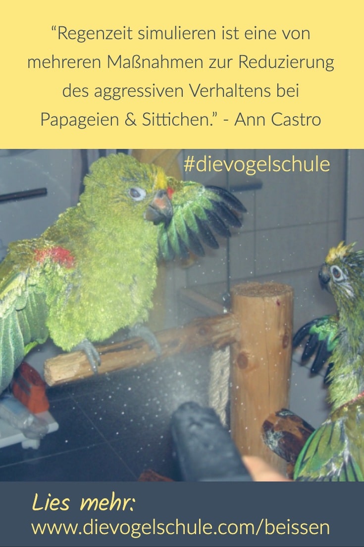 aggressiver Vogel - Papagei beißt aggressiver Vogel - Papagei beißt