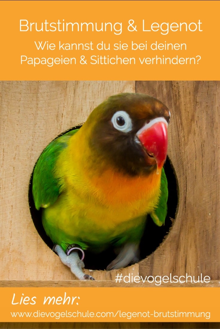 Legenot Wellensittiche & Agaporniden Legenot Wellensittiche & Agaporniden