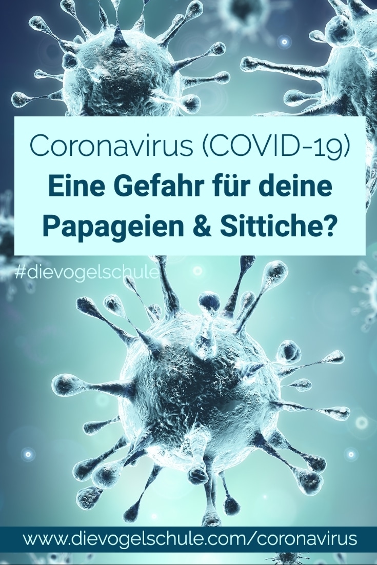 Coronavirus Papageien & Sittiche P Coronavirus Papageien & Sittiche P
