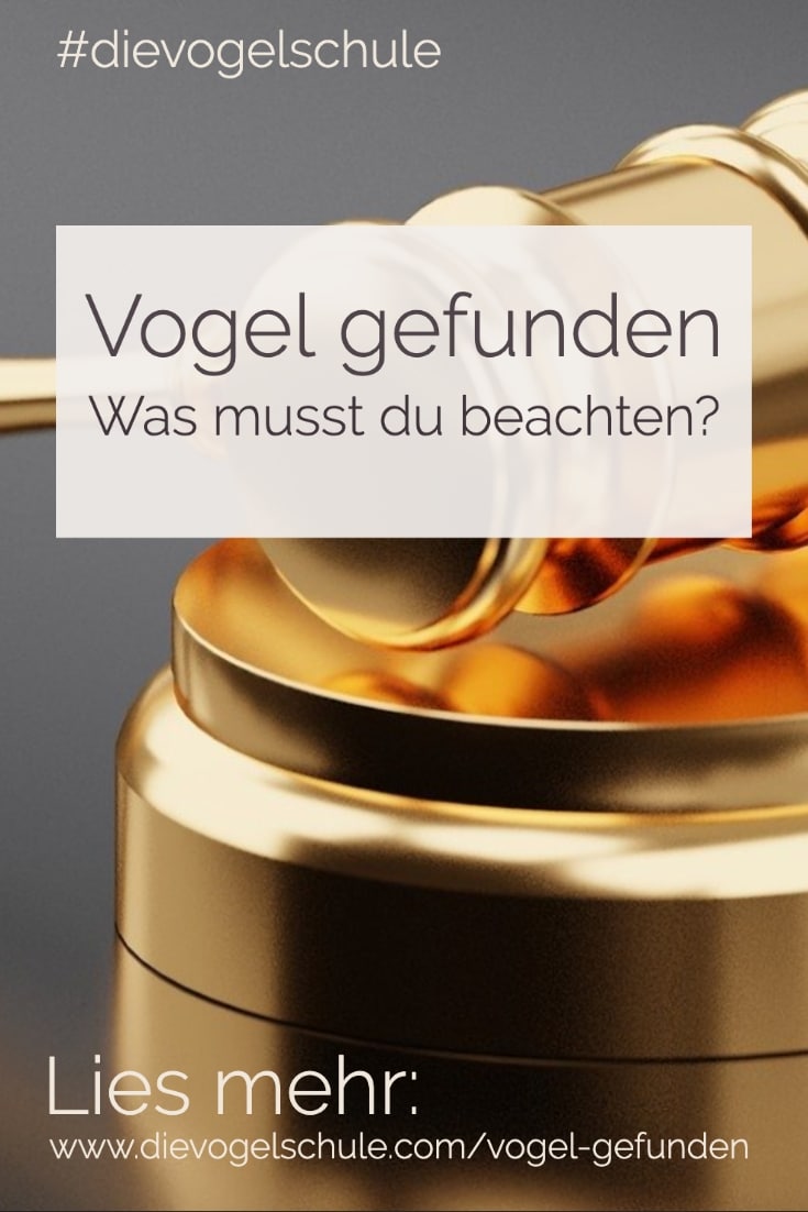 Vogel gefunden P-1 Vogel gefunden das Gesetz