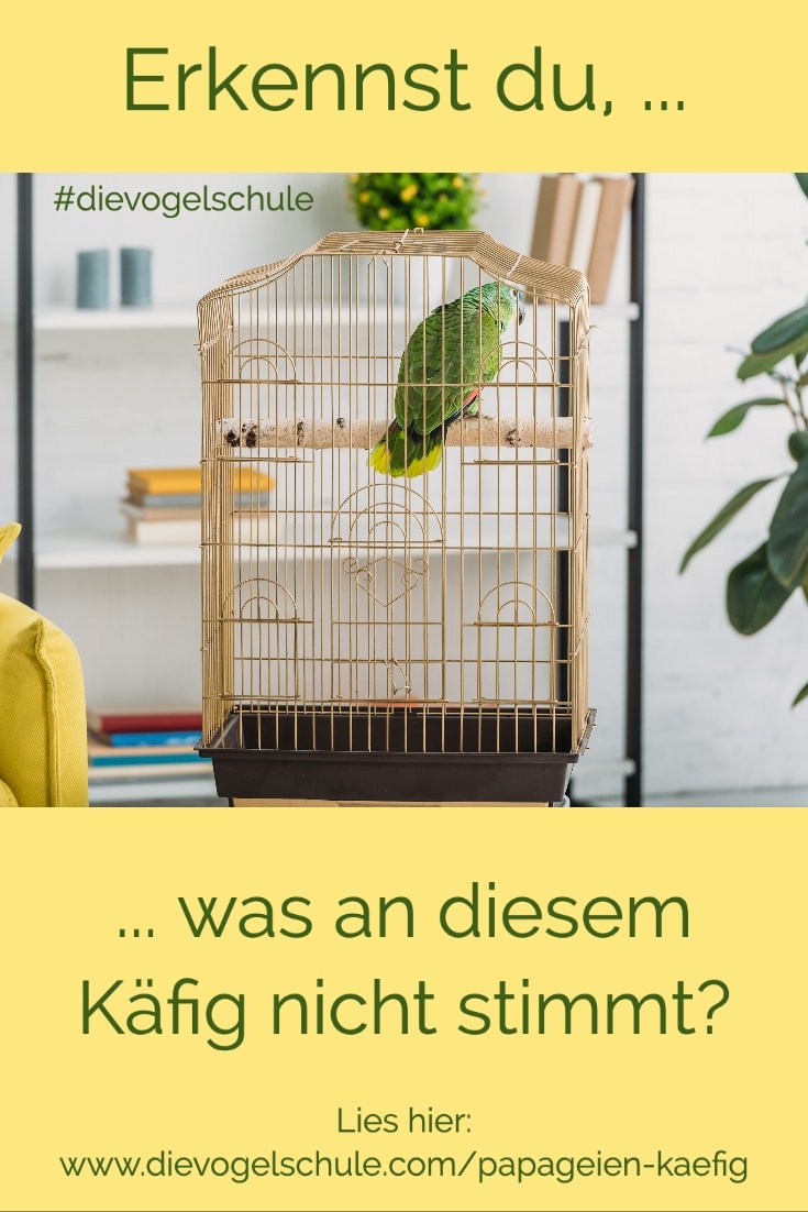 Vogelkäfig aus Messing - vogelkäfig deko