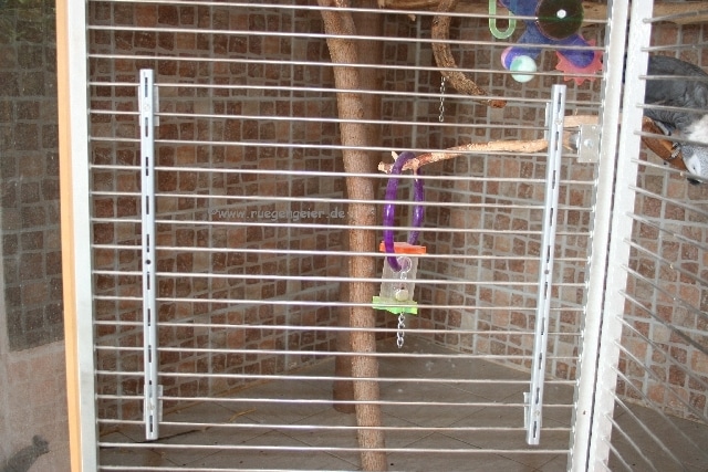 Papageien-Badewanne Schienen Papageien-Badewanne Schienen